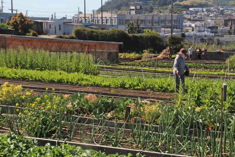 CLIMATE, MEET AFFORDABILITY: WHY WE MUST FIGHT FOR BOTH